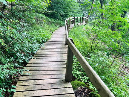 24-07-02 16-04-20 0138